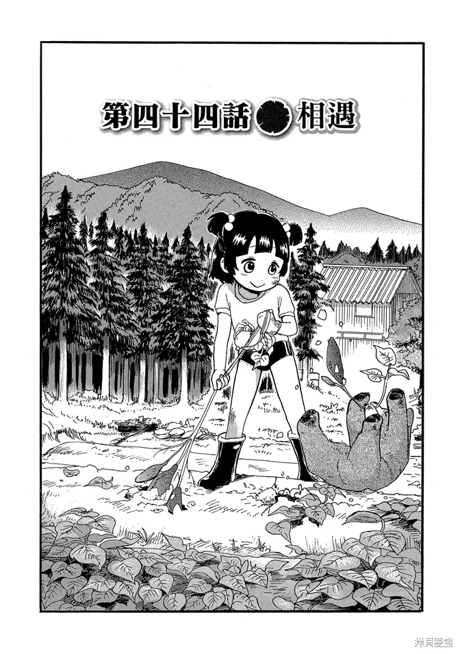 第08卷 第29页