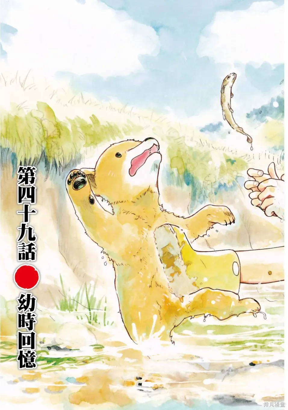 第09卷 第5页