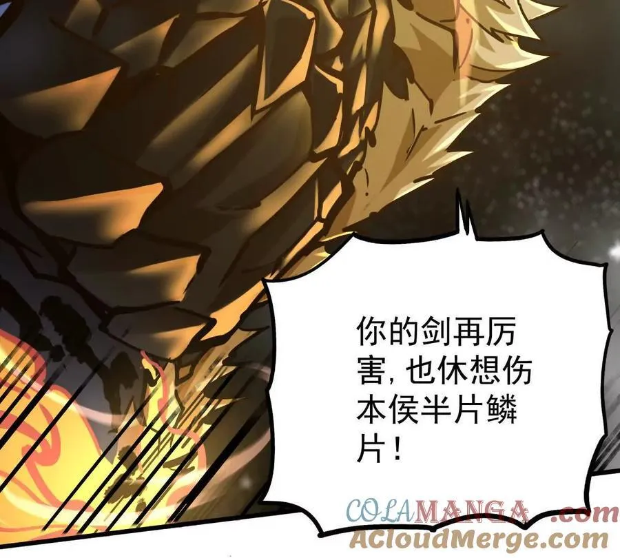 第30回 麒麟三变 第67页