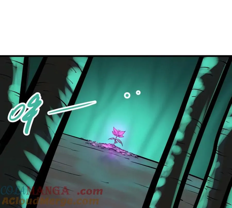 第46回 紫灵玄花 第5页