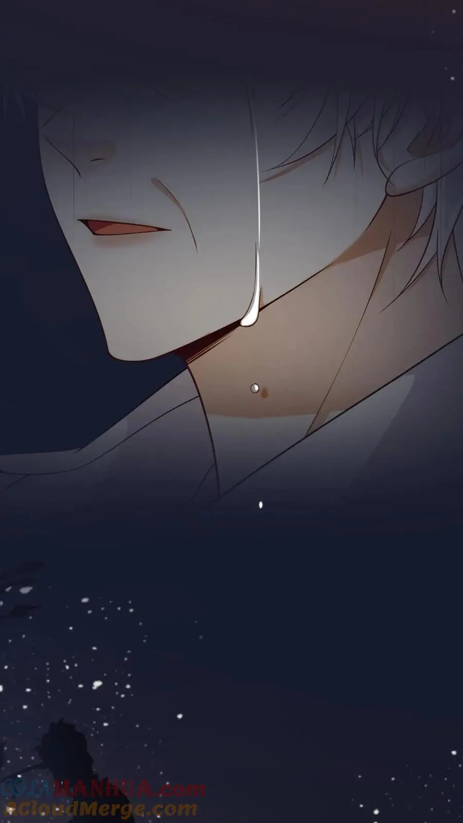 第49话 生生世世的相伴 第15页