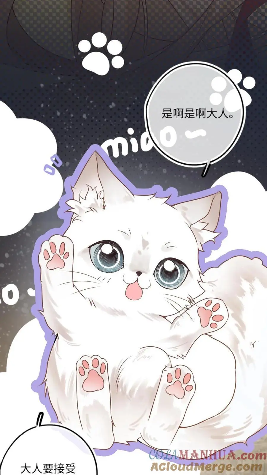 第49话 生生世世的相伴 第29页