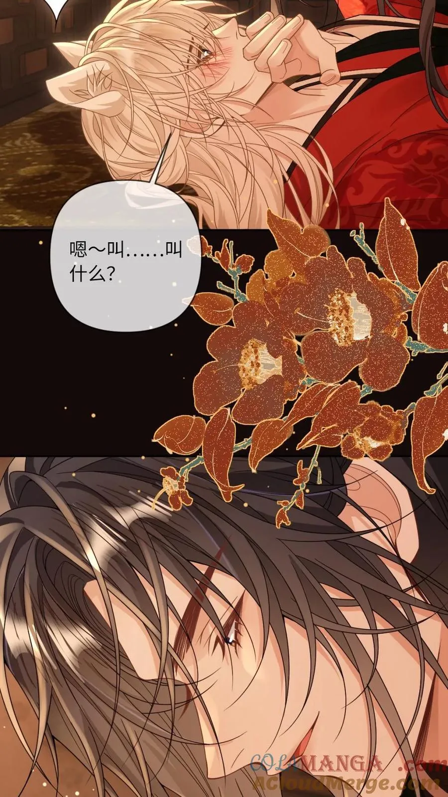 第227话 洞房花烛夜 第17页