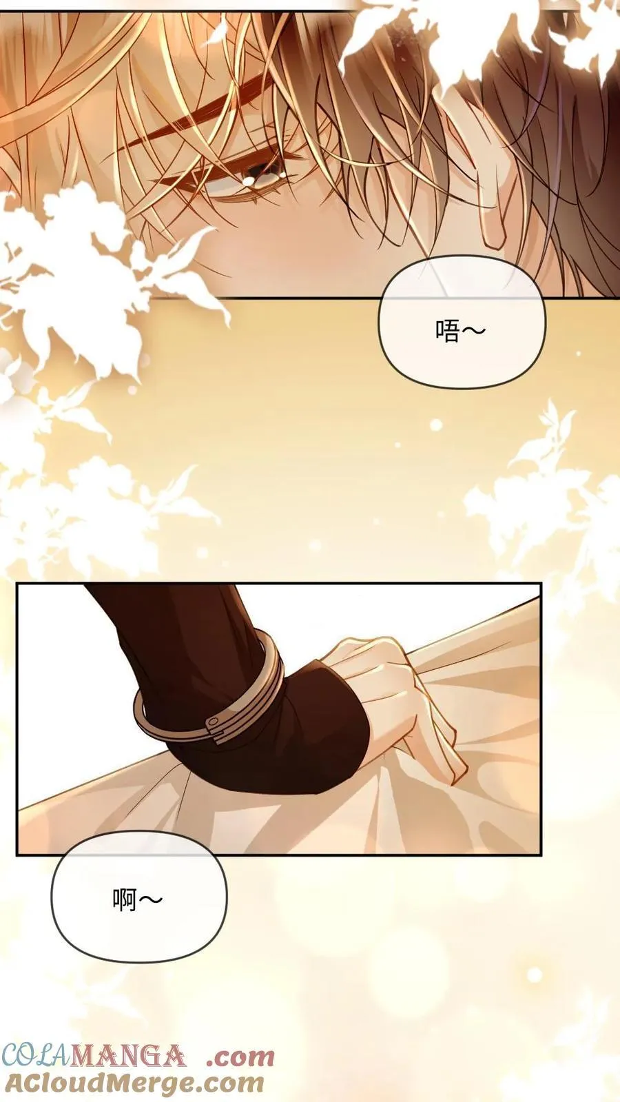 第274话 笼中鸟 第17页