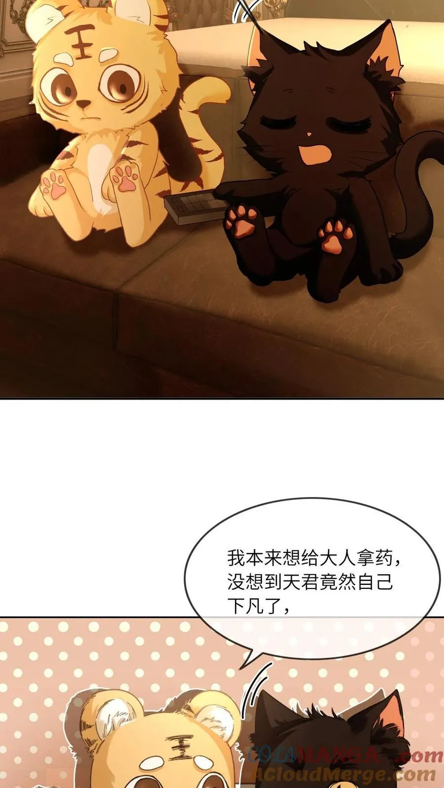 第329话 兄控登场 第23页