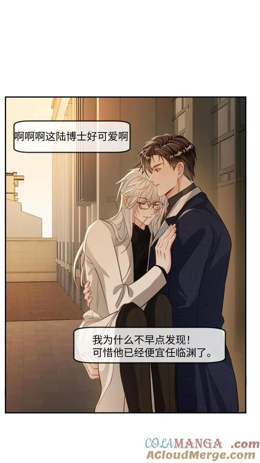 第362话 副元首 第11页