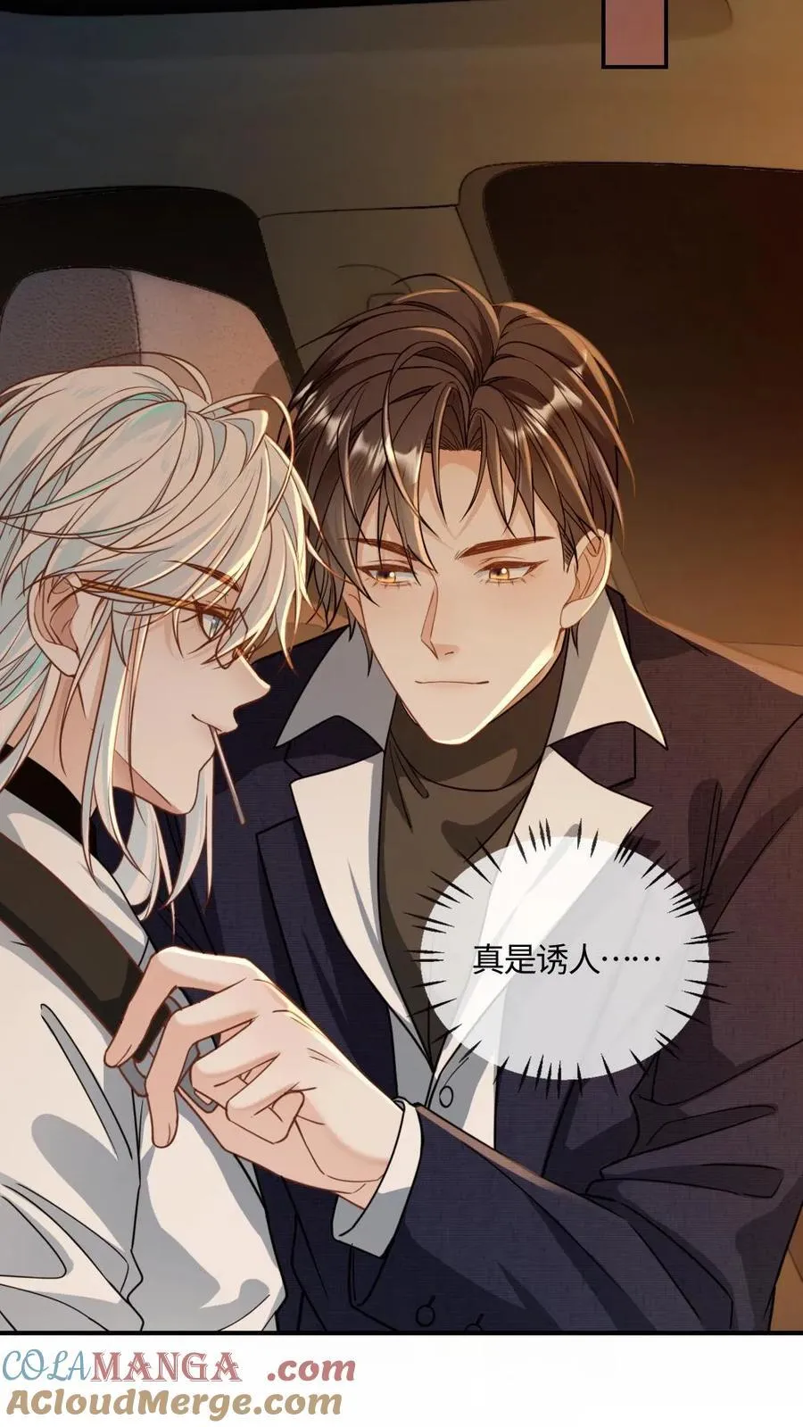 第362话 副元首 第13页