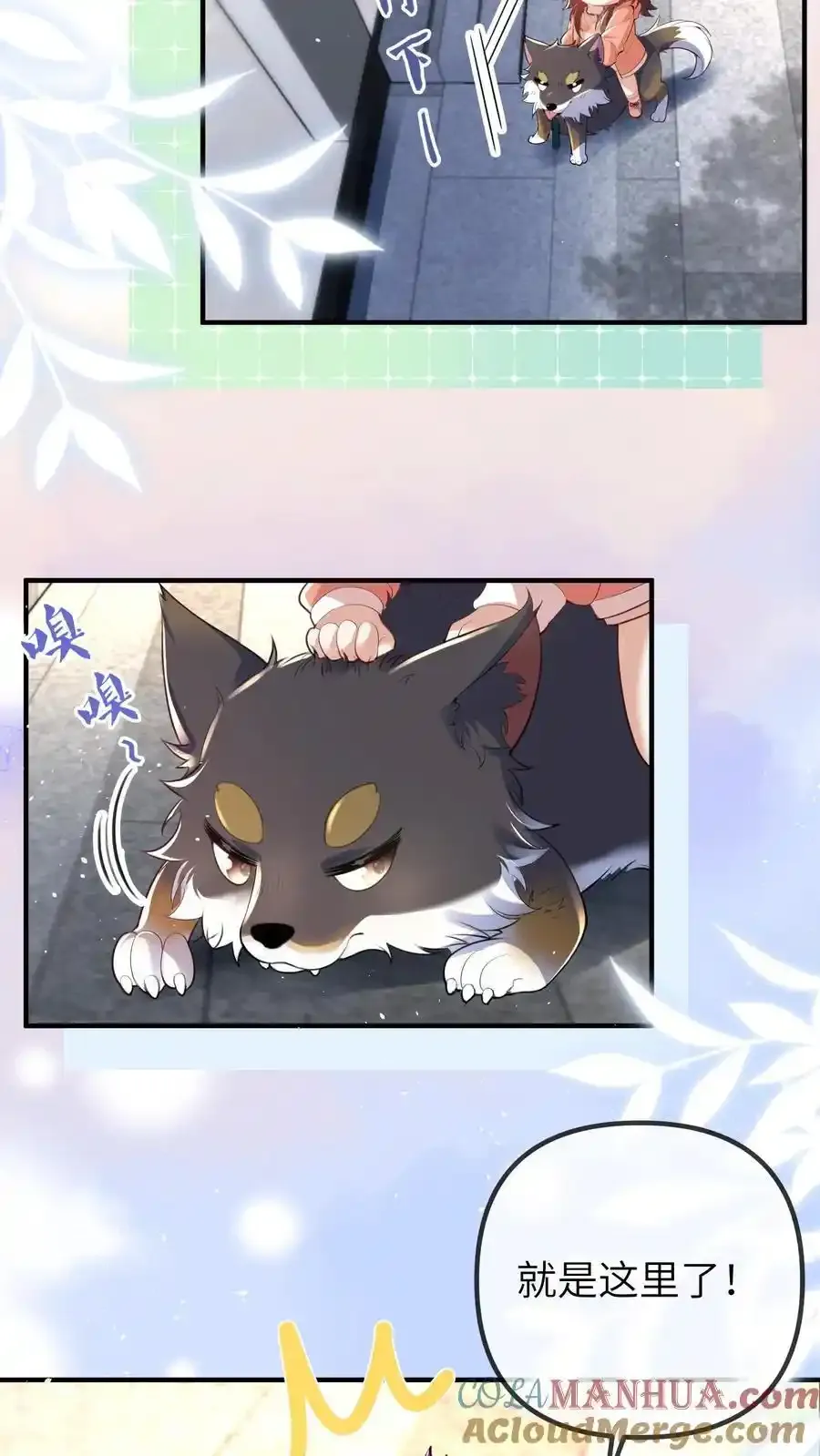第190话 抓捕恶煞 第17页