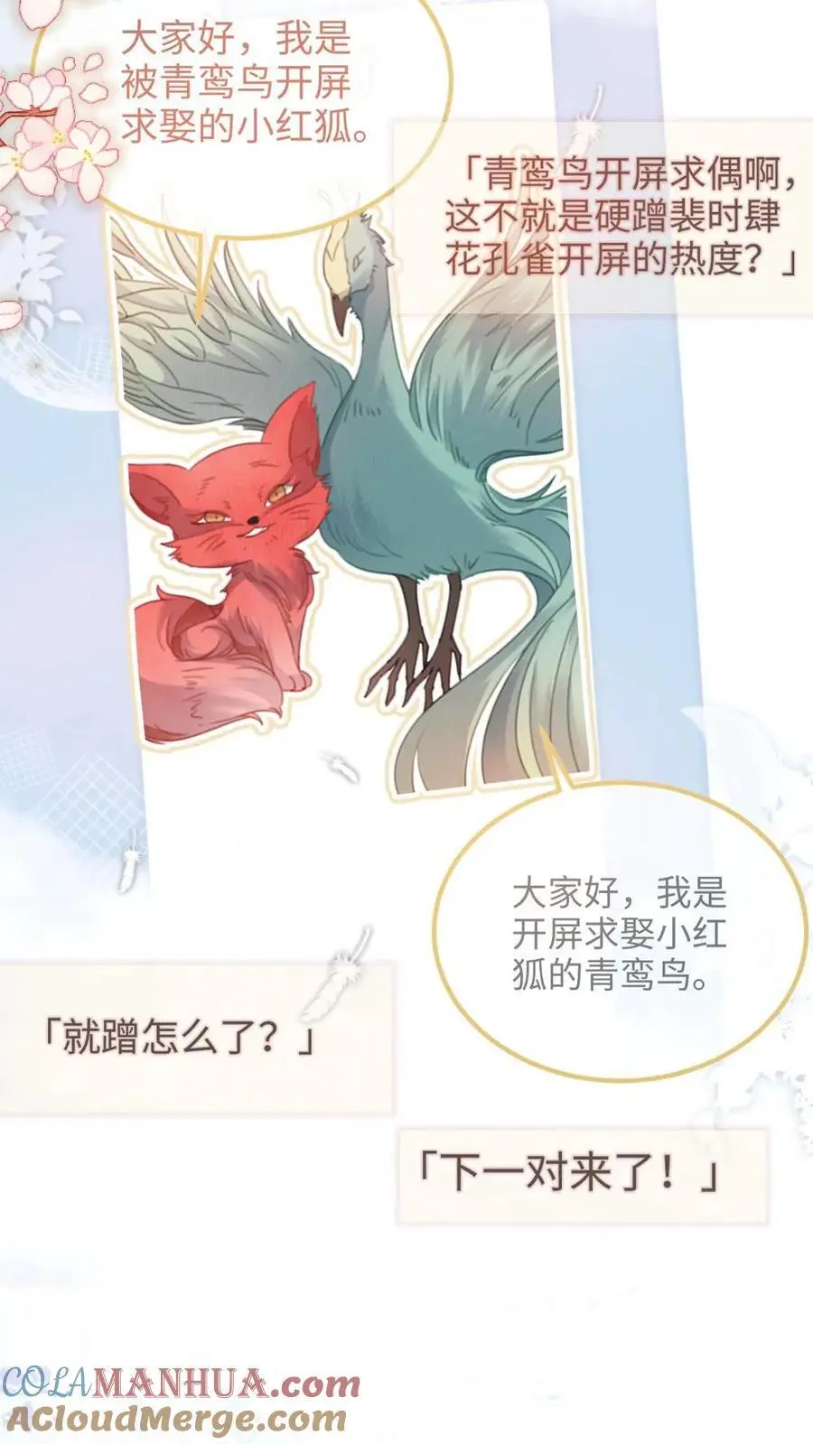 第123话 青鸾鸟x红狐狸 第5页