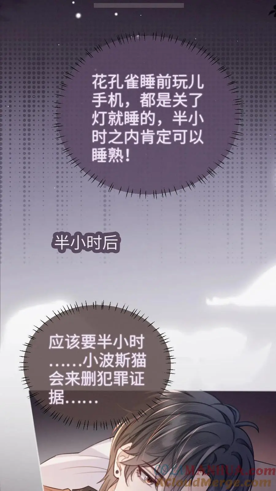 第66话 花孔雀的小把戏 第25页