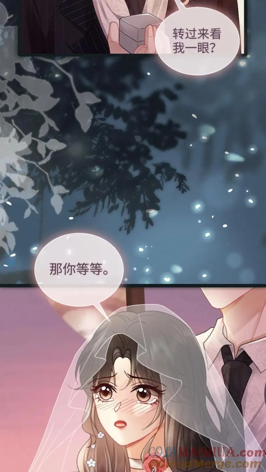 第199话 求婚仪式 第15页
