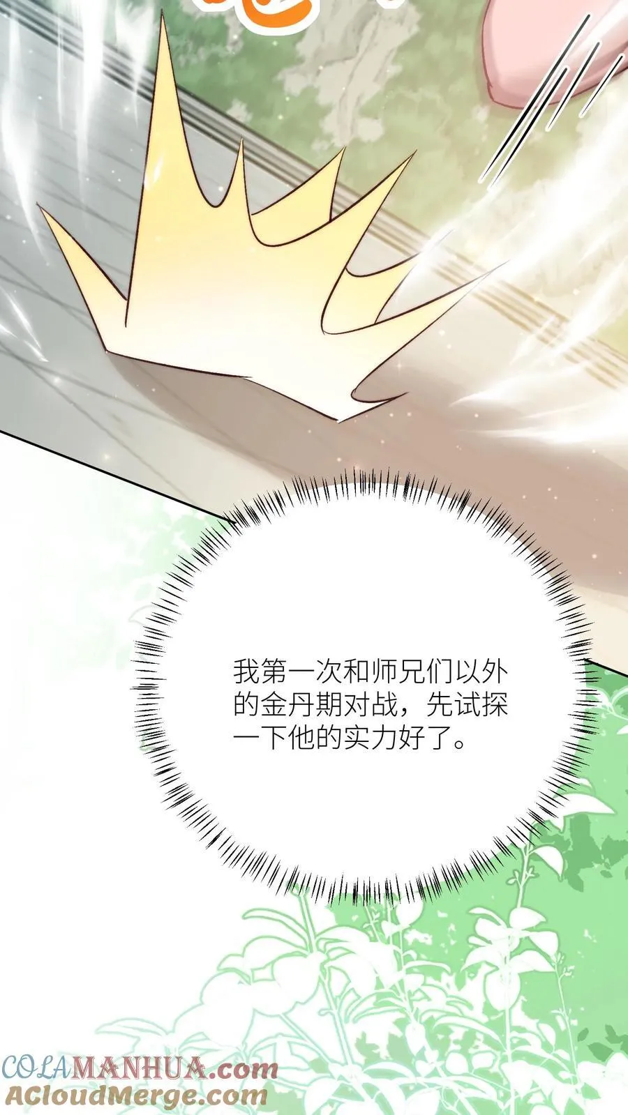 第194话 我，金丹期叶翘，来战！ 第17页