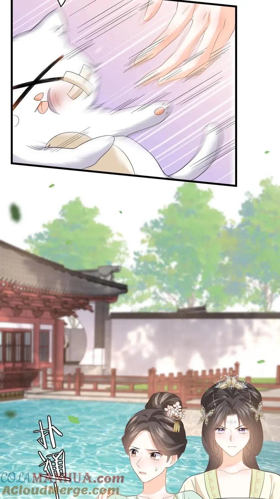 第72话 严查白猫来历！ 第5页
