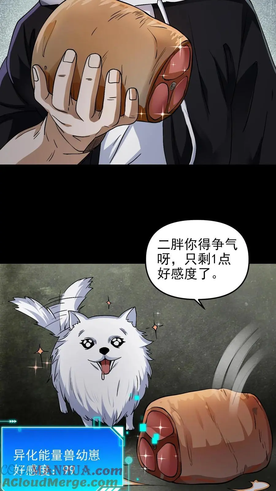 第20话 战斗宠物 第3页