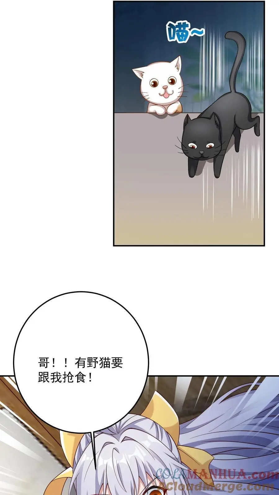 第104话 哥，你应该不是猫奴吧？ 第19页