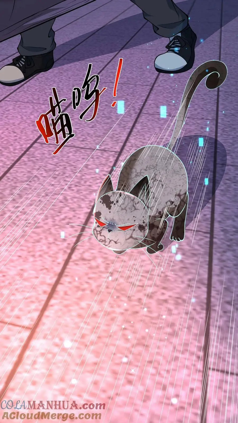 第86话 我就是如此牛皮 第13页