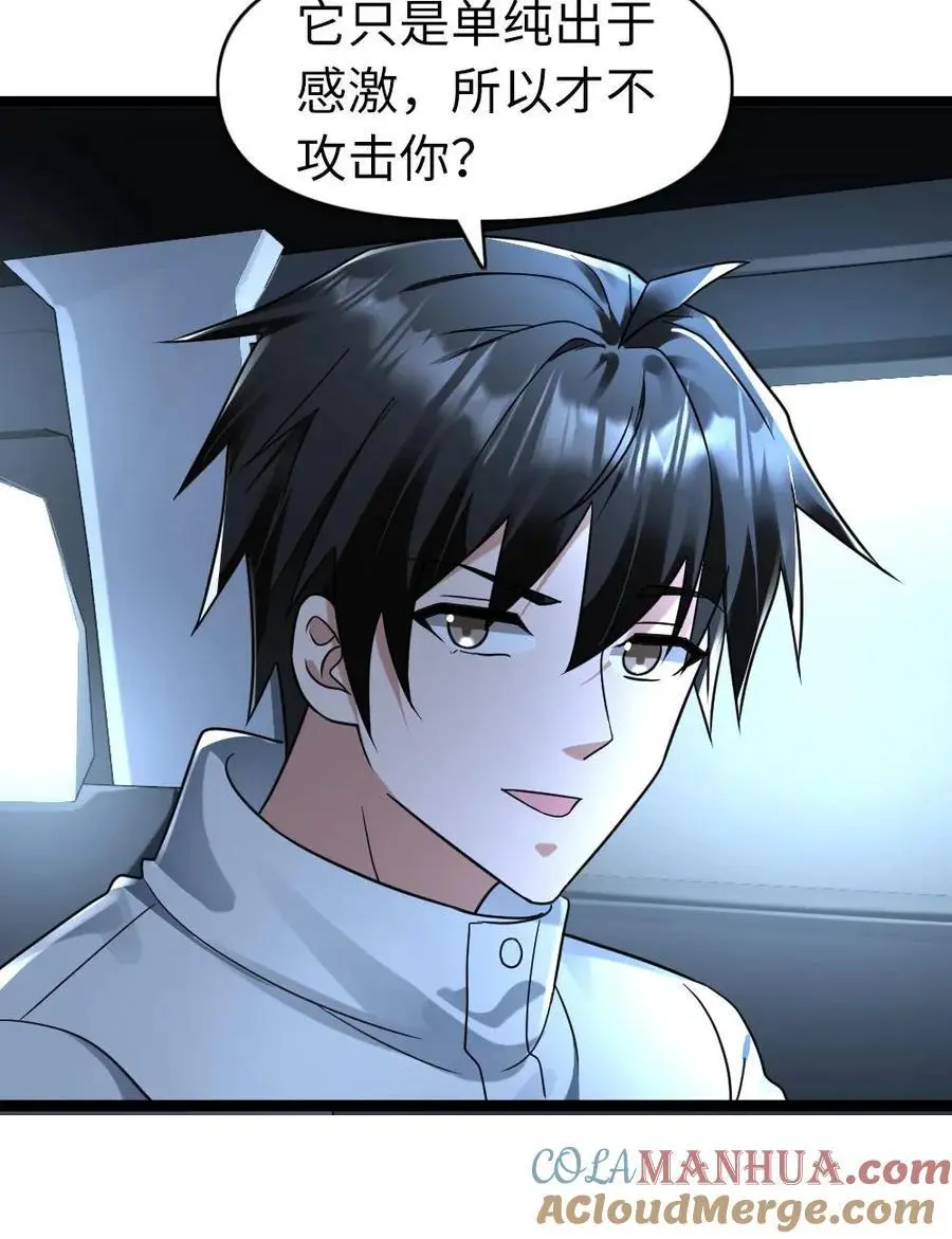 第160话 流浪猫——花花 第19页