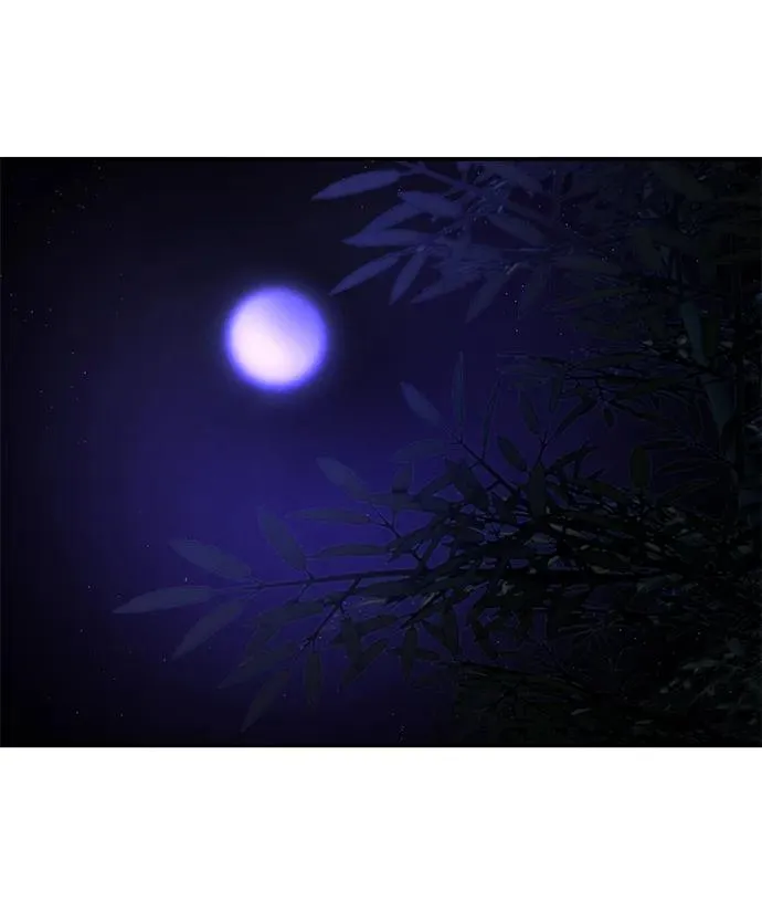 第84话 第27页