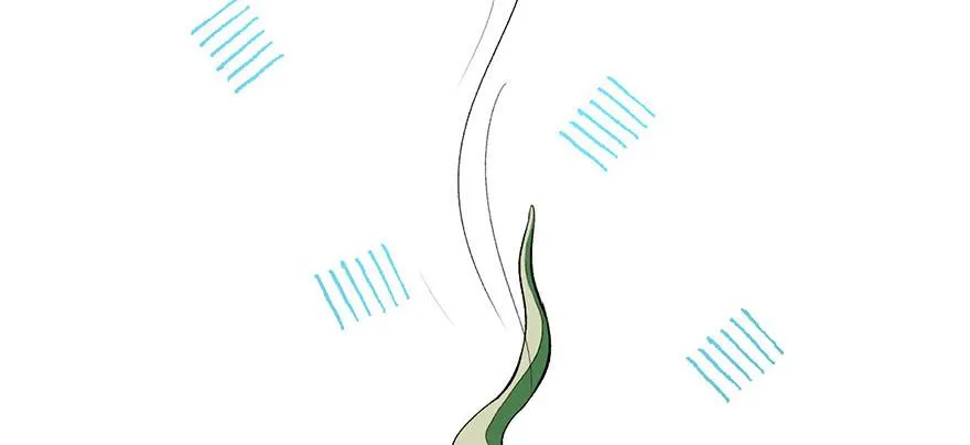 054 海鲜可以生吃！ 第54页