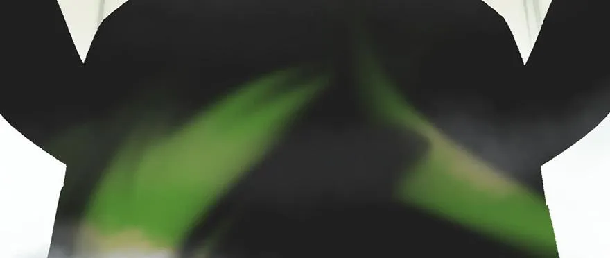 058 那个白菜小哥 第38页