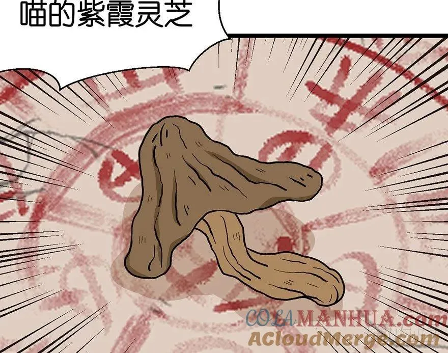 022 人���妖，没有生殖隔离吗 第13页