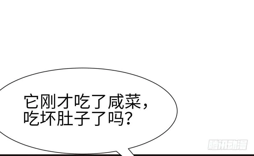 031 沈萤与狗不得进入！ 第55页