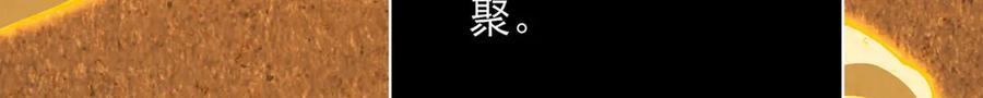 165-第八殿 第16页