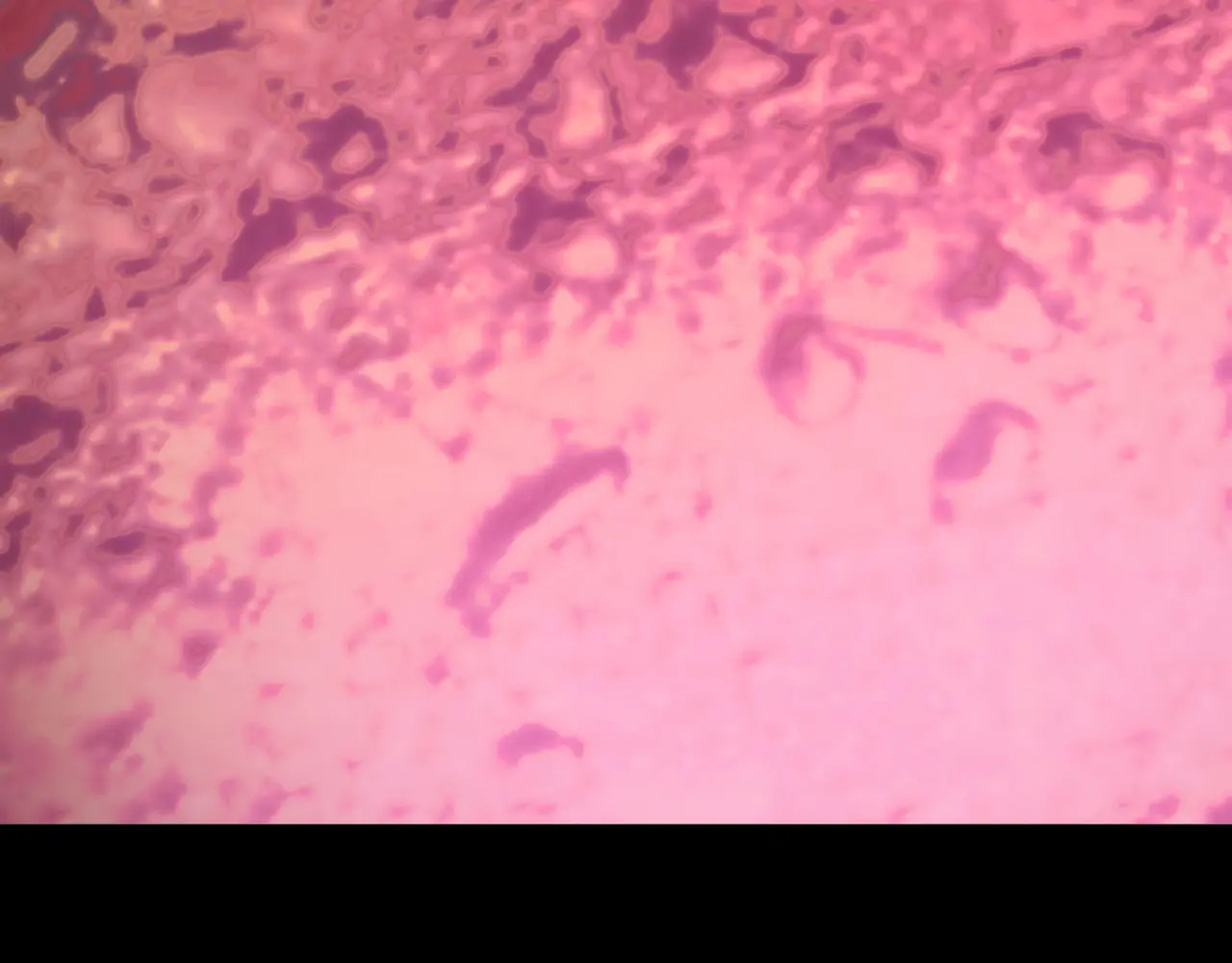 171-八殿现身 第122页
