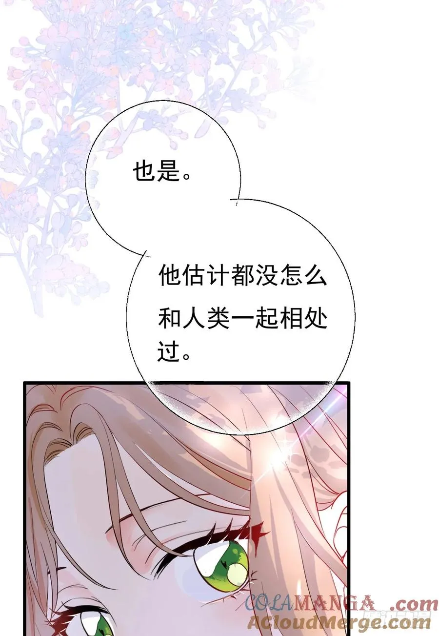 被狼养大的孩子 第25页