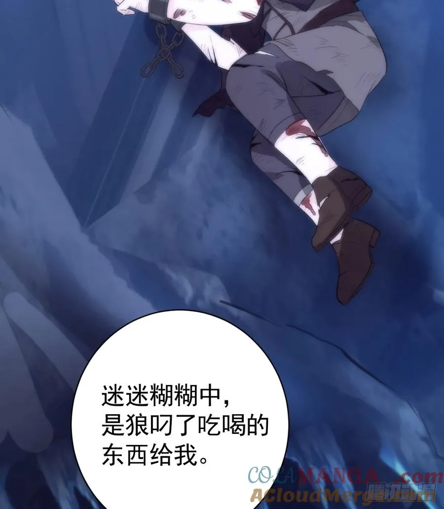 被狼养大的孩子 第34页
