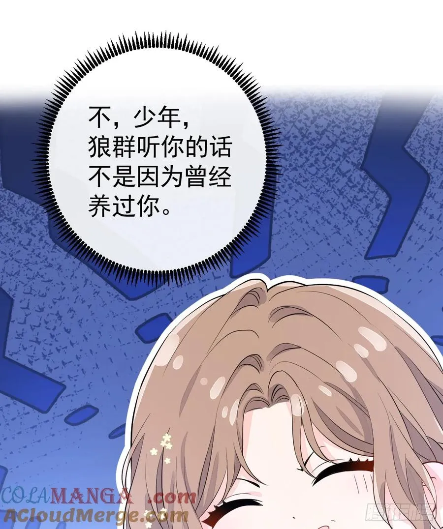 被狼养大的孩子 第40页