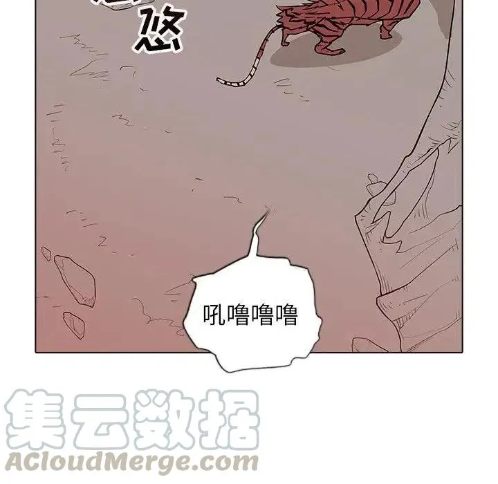 41 第5页