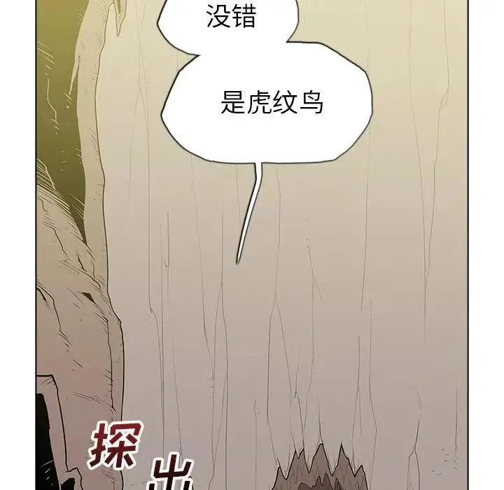 41 第7页