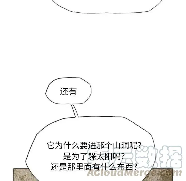 41 第9页