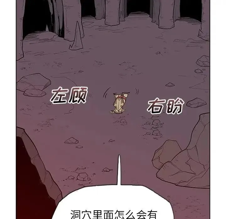 41 第19页