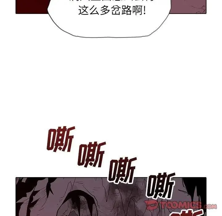 41 第20页
