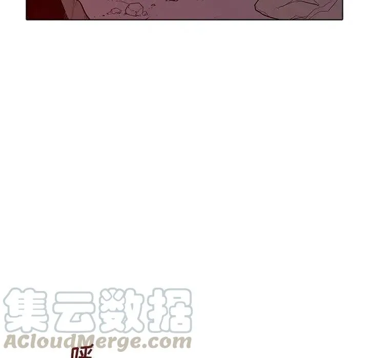 41 第25页