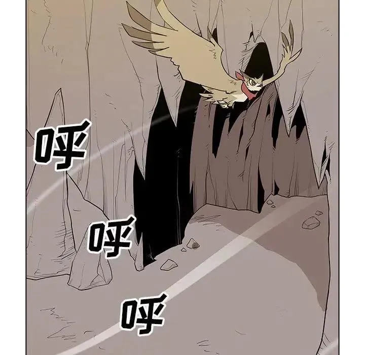 41 第91页