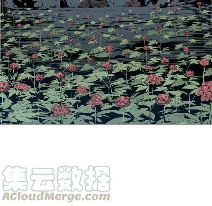 4 第117页