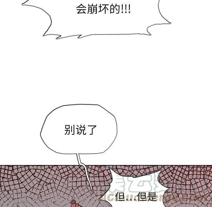 16 第41页