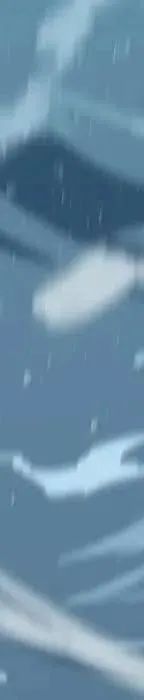 24 第74页