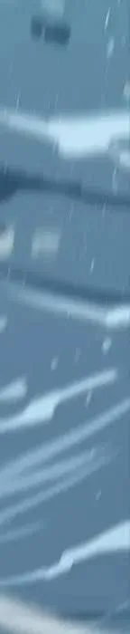 24 第75页