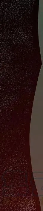 24 第321页