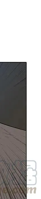 24 第445页