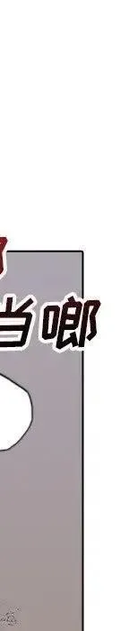 24 第510页