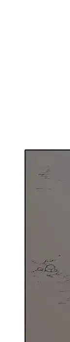 24 第531页