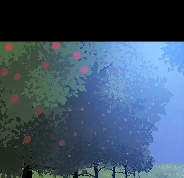 26 第12页
