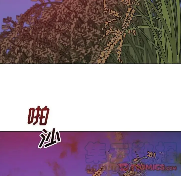 26 第21页