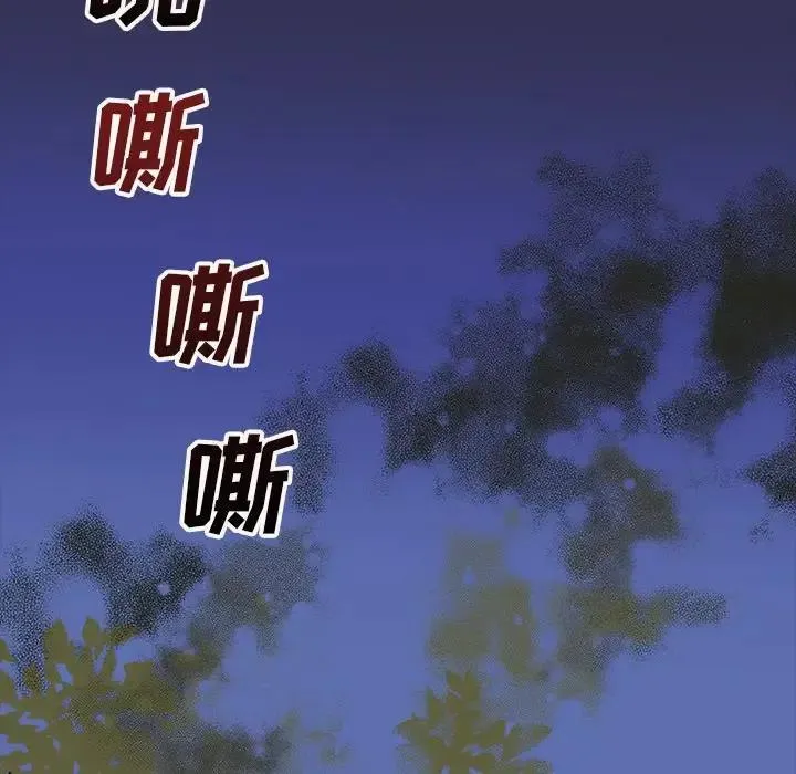 26 第23页