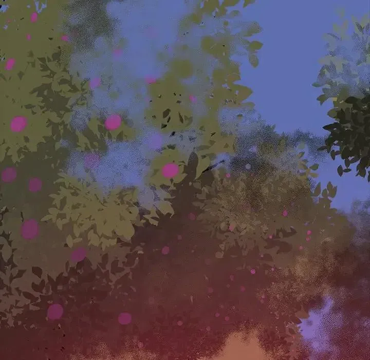 26 第24页